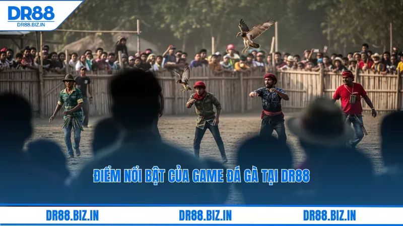 Đá Gà Dr88: Kèo Cược Thomo, Xem Trận Đấu Kịch Tính 4 Điểm nổi bật của game đá gà tại dr88