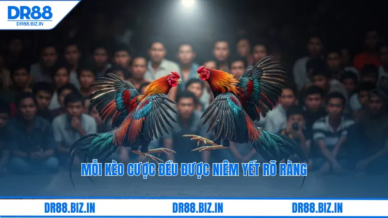 Đá Gà Dr88: Kèo Cược Thomo, Xem Trận Đấu Kịch Tính 3 Mỗi kèo cược đều được niêm yết rõ ràng